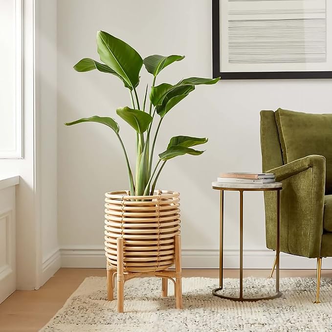 handmade Plant Stand| Flower Pot Stand for Living Room | Indoor Plant stand| Plant Holder (Rattan)(20 Inches (H) x 14.5 Inches (W) x 14.5 Inches